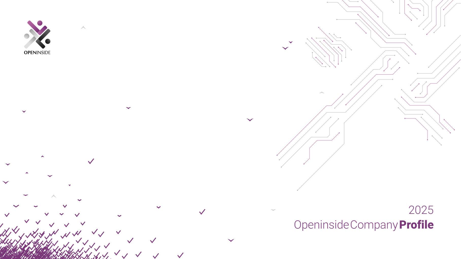 Openinside Company Profile, Why Openinside?